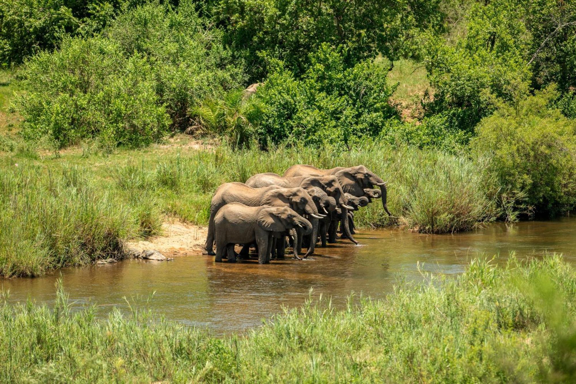 Leopard Sands Kruger Park สกูกูซา ภายนอก รูปภาพ