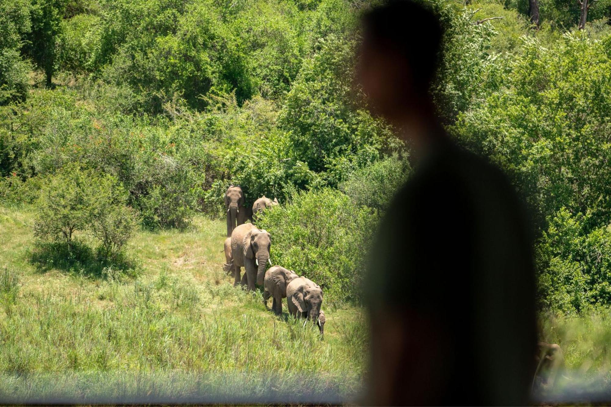 Leopard Sands Kruger Park สกูกูซา ภายนอก รูปภาพ