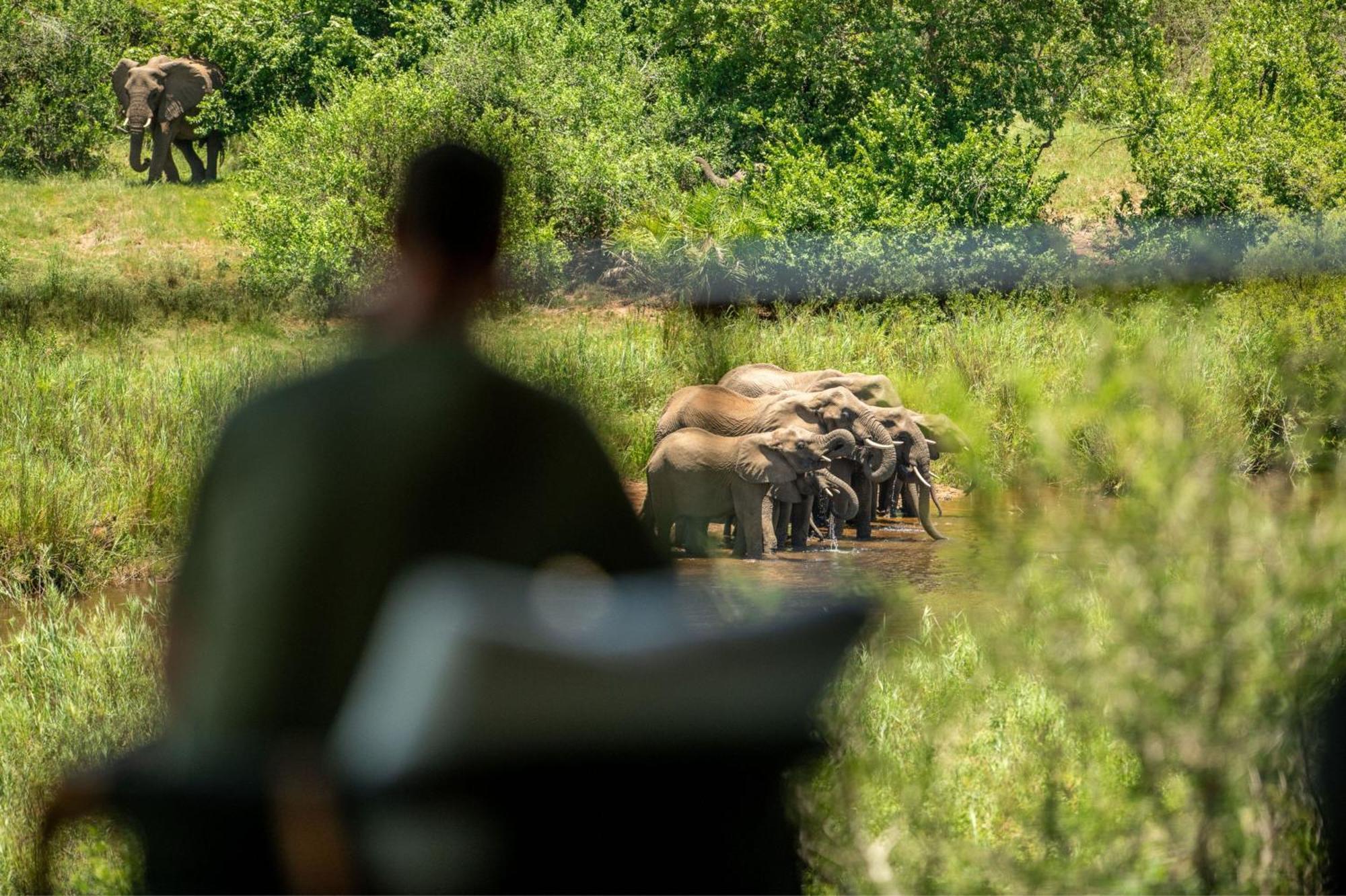 Leopard Sands Kruger Park สกูกูซา ภายนอก รูปภาพ