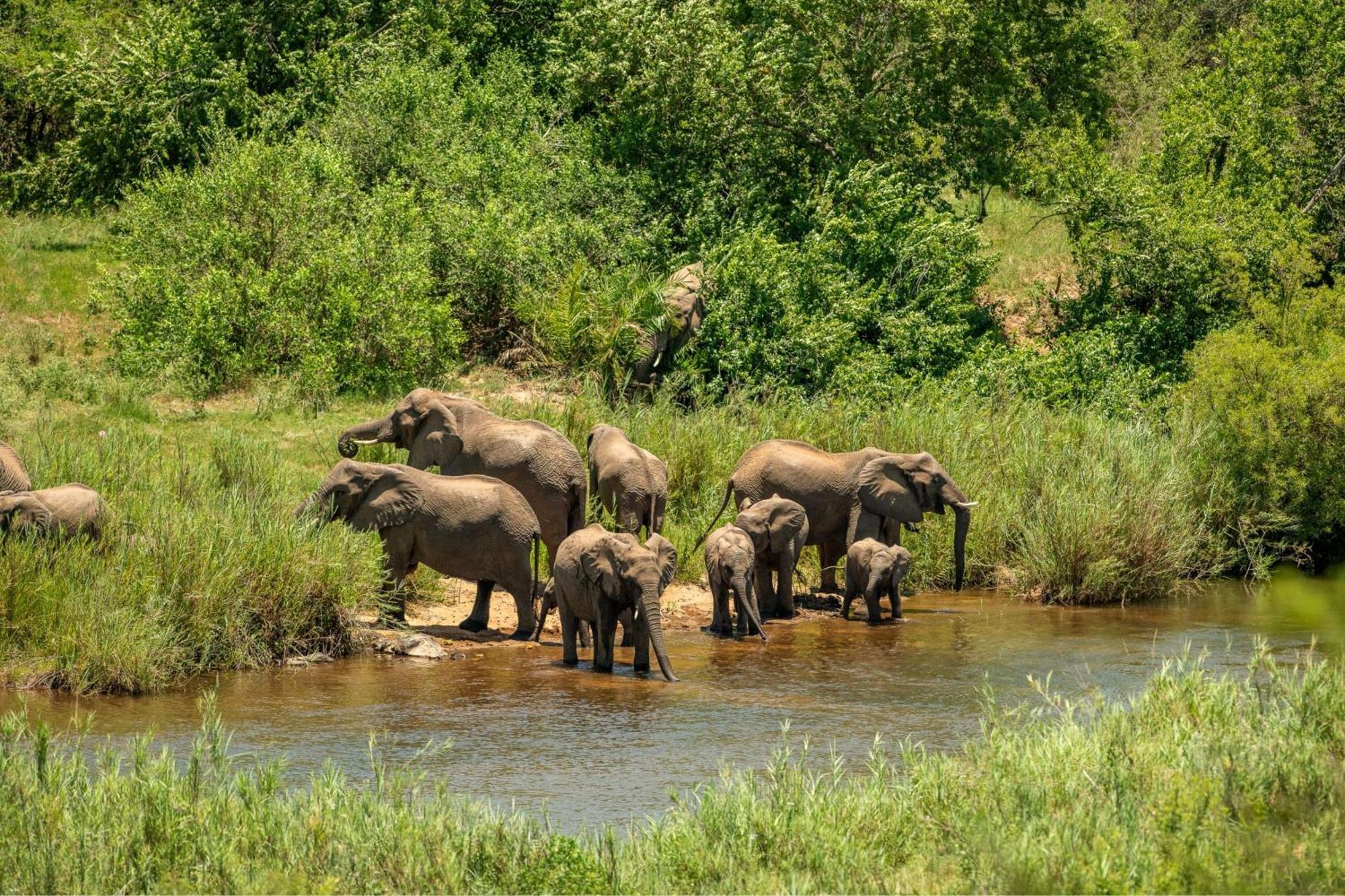 Leopard Sands Kruger Park สกูกูซา ภายนอก รูปภาพ