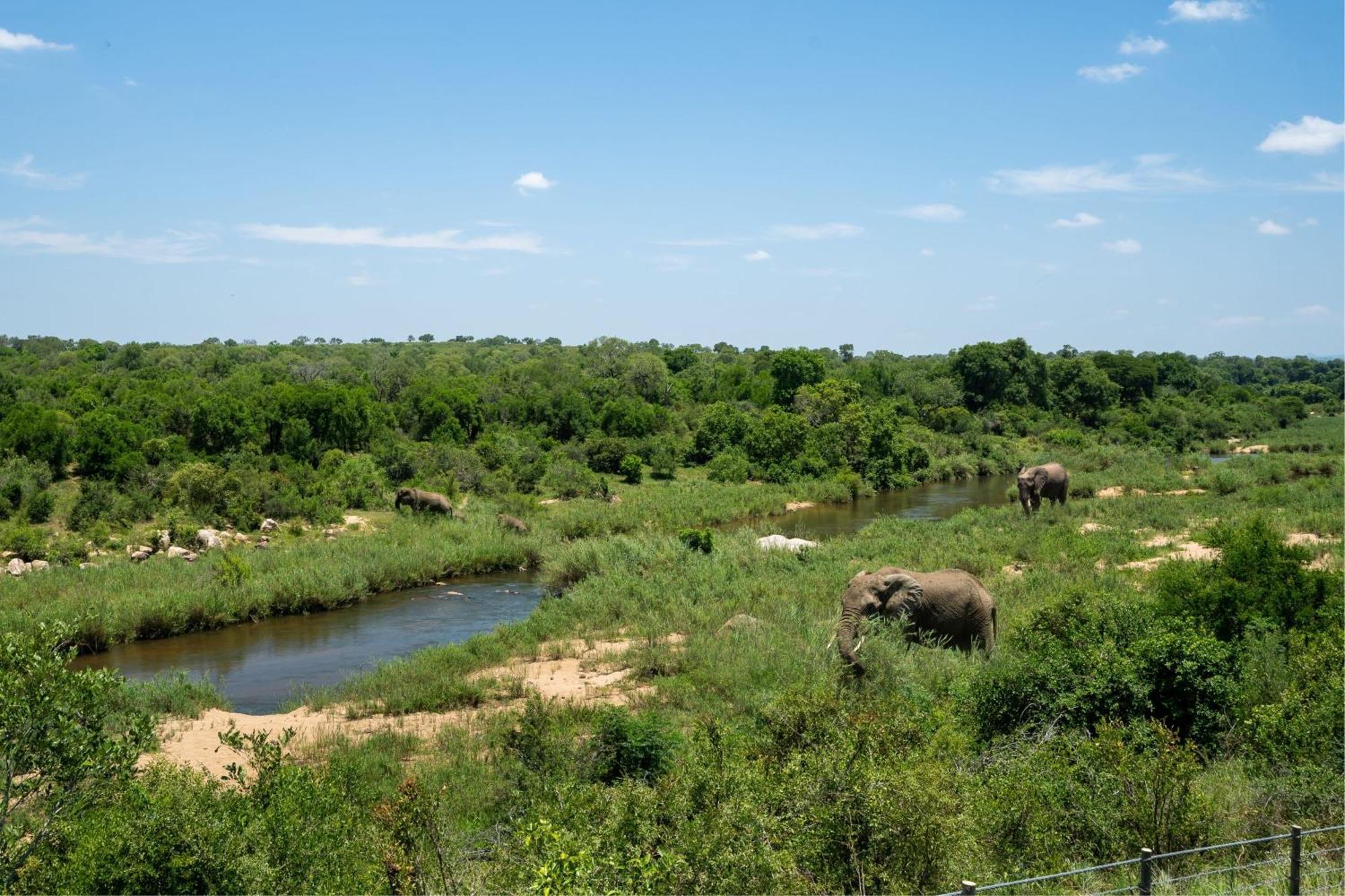 Leopard Sands Kruger Park สกูกูซา ภายนอก รูปภาพ